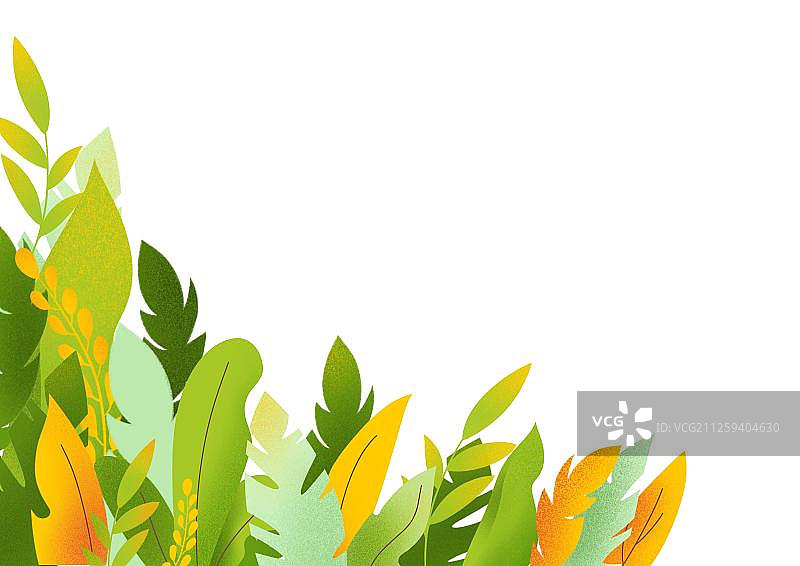 春季植物叶子图片素材