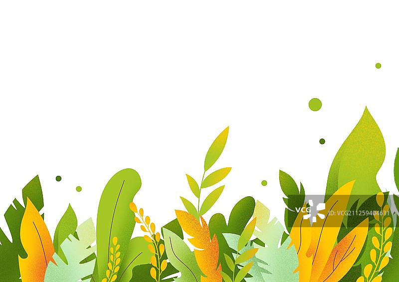 春季植物叶子图片素材