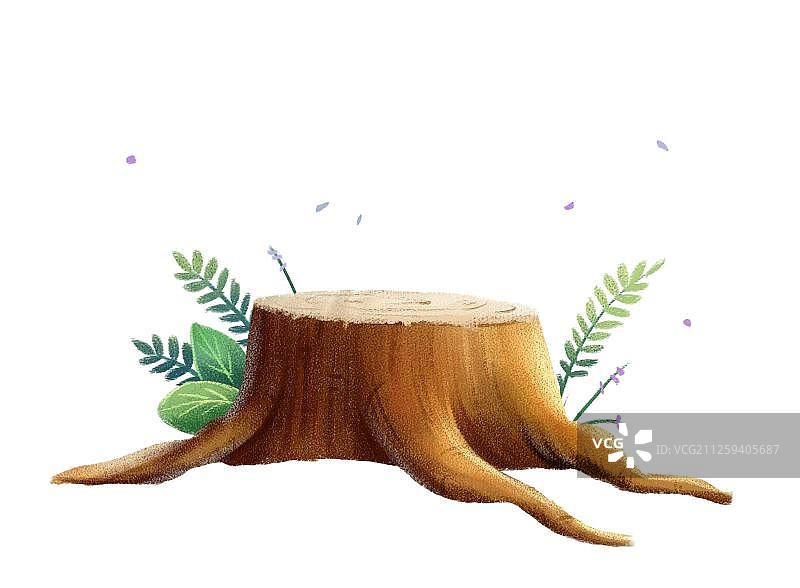 树桩图片素材