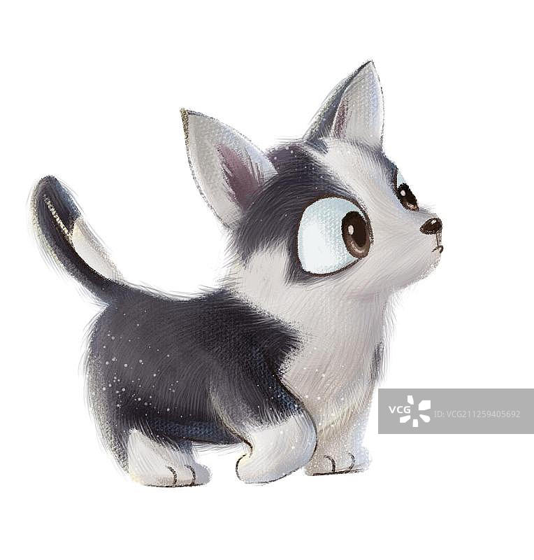 可爱的小奶狗图片素材