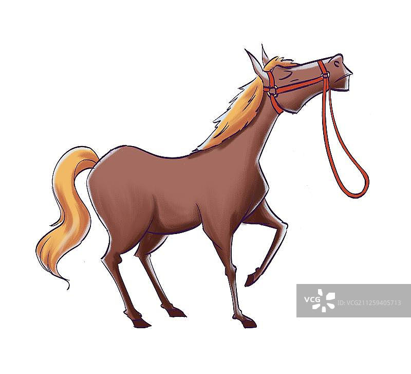 傲娇的马儿图片素材