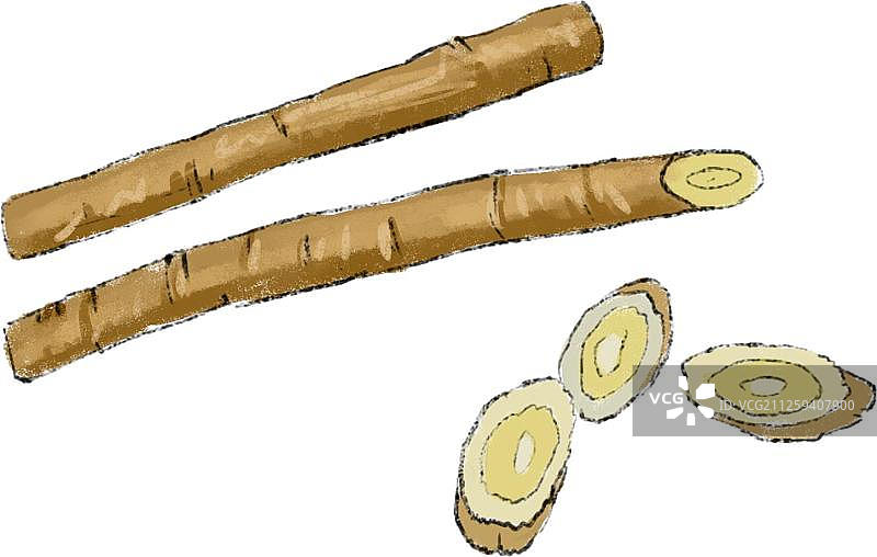 中草药之黄芪图片素材