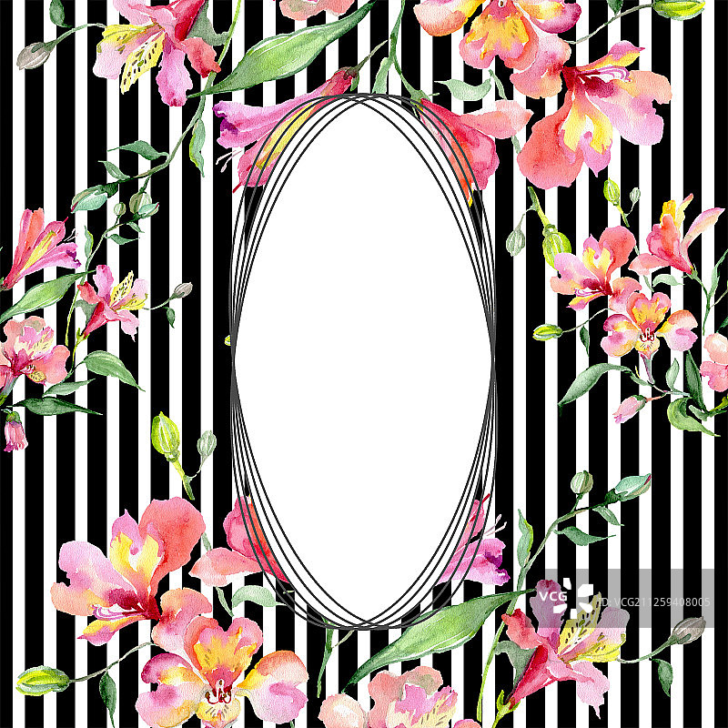 粉色六出花花束，水彩背景边框装饰方形图片素材