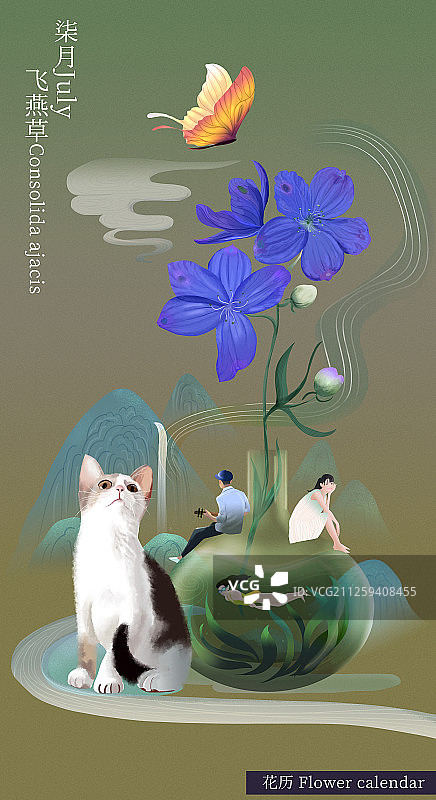 花历 七月 飞燕草 有字 暗版图片素材