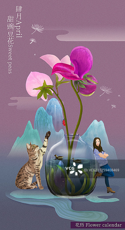 花历 四月 甜豌豆花 有字 暗版图片素材