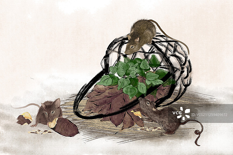 老鼠正在偷吃篮子里的地瓜图片素材