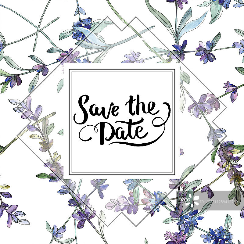 紫色薰衣草花卉植物水彩背景插画边框图片素材