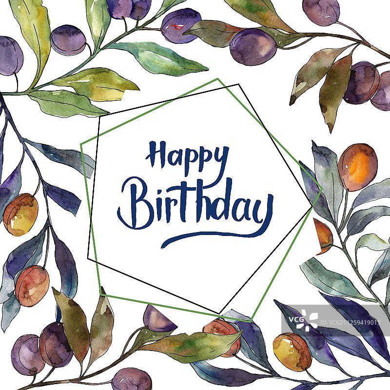 水彩橄榄枝黑绿果实方形边框插画图片素材