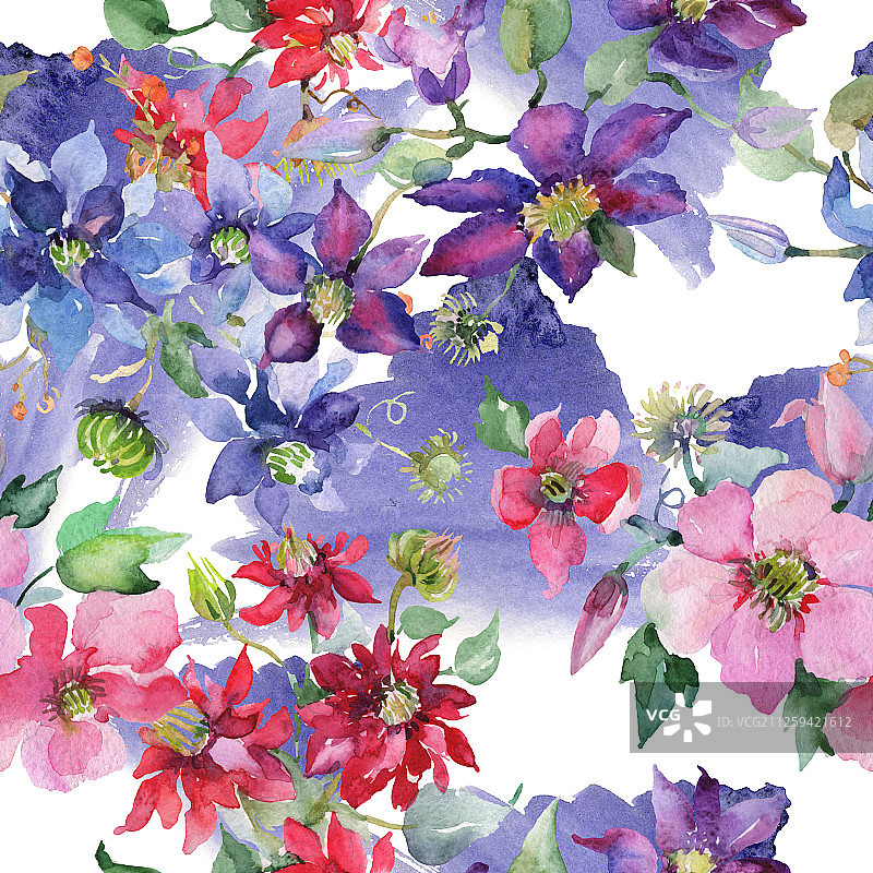 铁线莲花束水彩背景图案图片素材