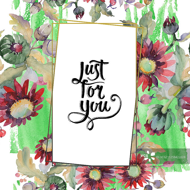 红色紫菀与橡子水彩花束图片素材