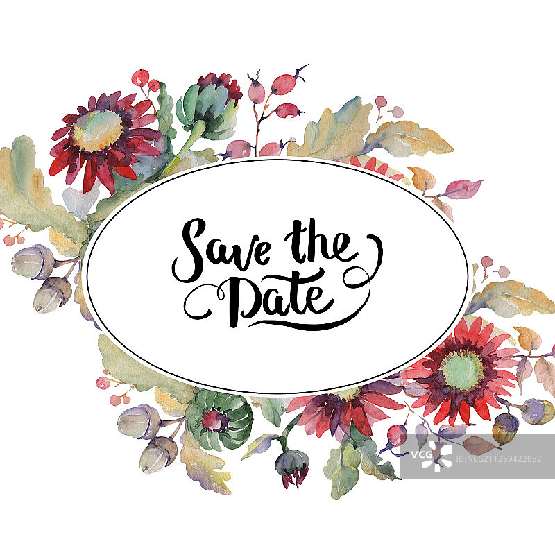 红色紫菀与橡子水彩花束图片素材