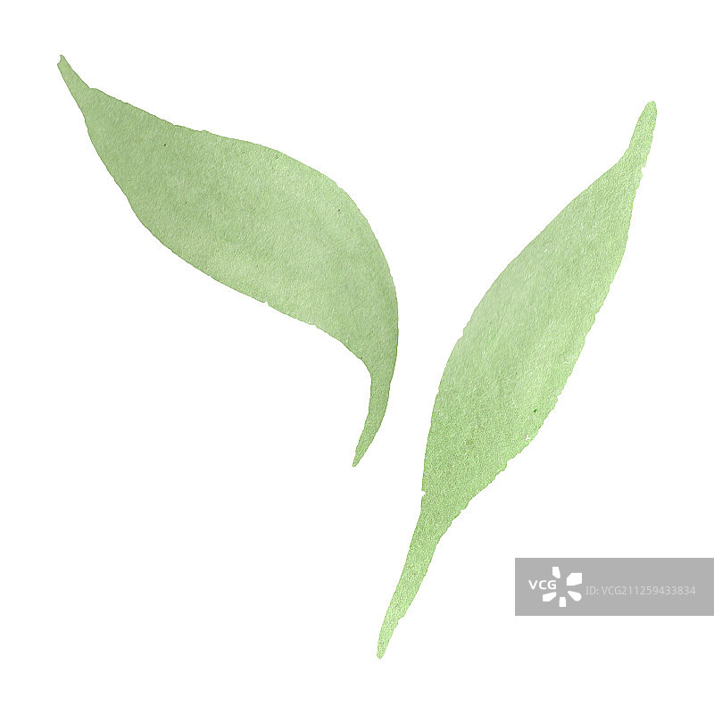 水彩向日葵绿叶植物花卉背景图案图片素材