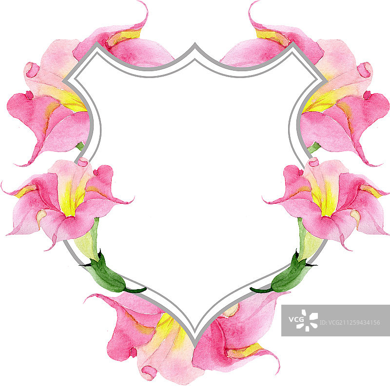 粉色曼陀罗花卉植物水彩背景插画边框装饰方块图片素材