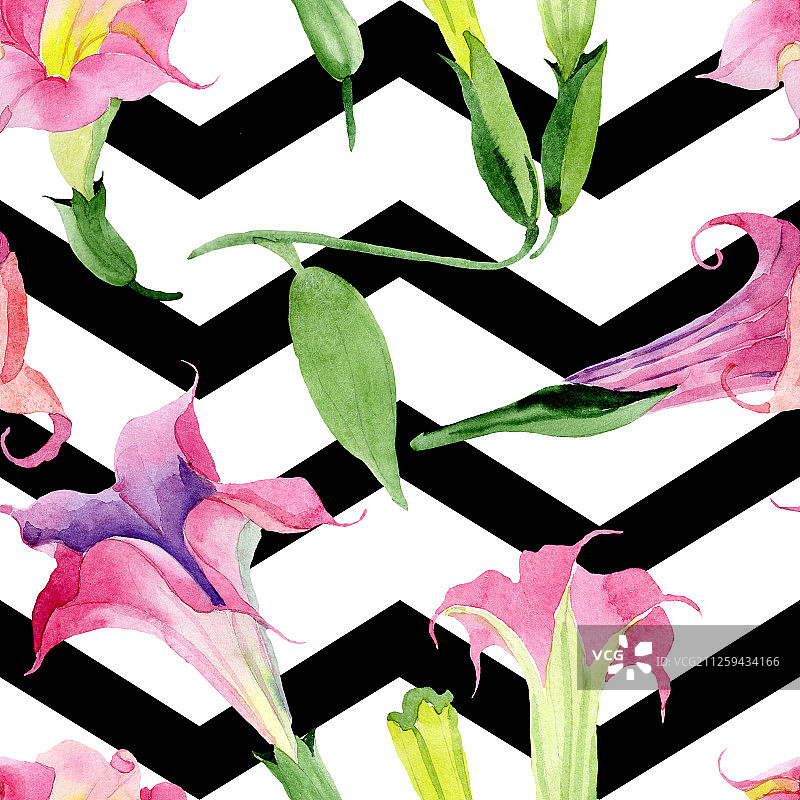 粉色曼陀罗花卉植物花卉。水彩背景图集。无缝背景图案。图片素材