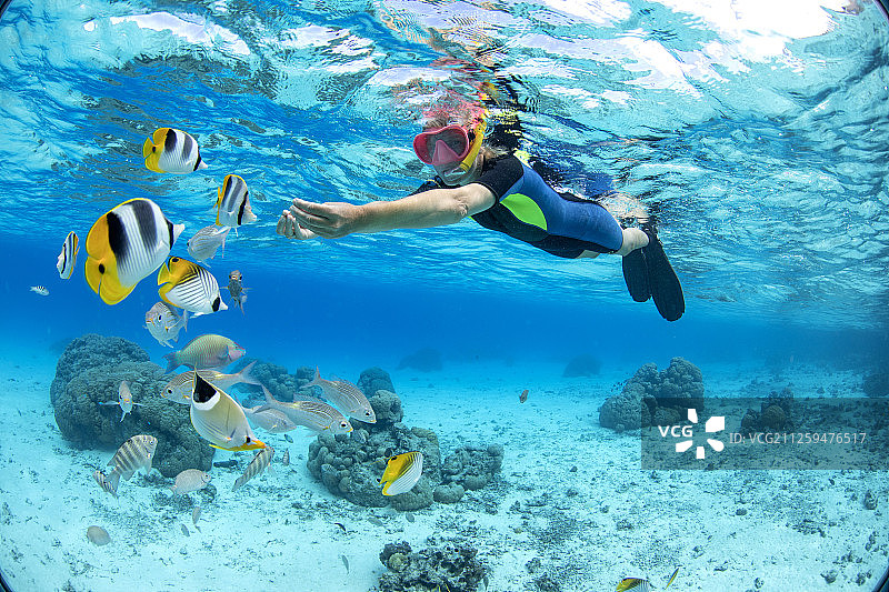 在波拉波拉岛与珊瑚鱼嬉戏的女性浮潜者图片素材
