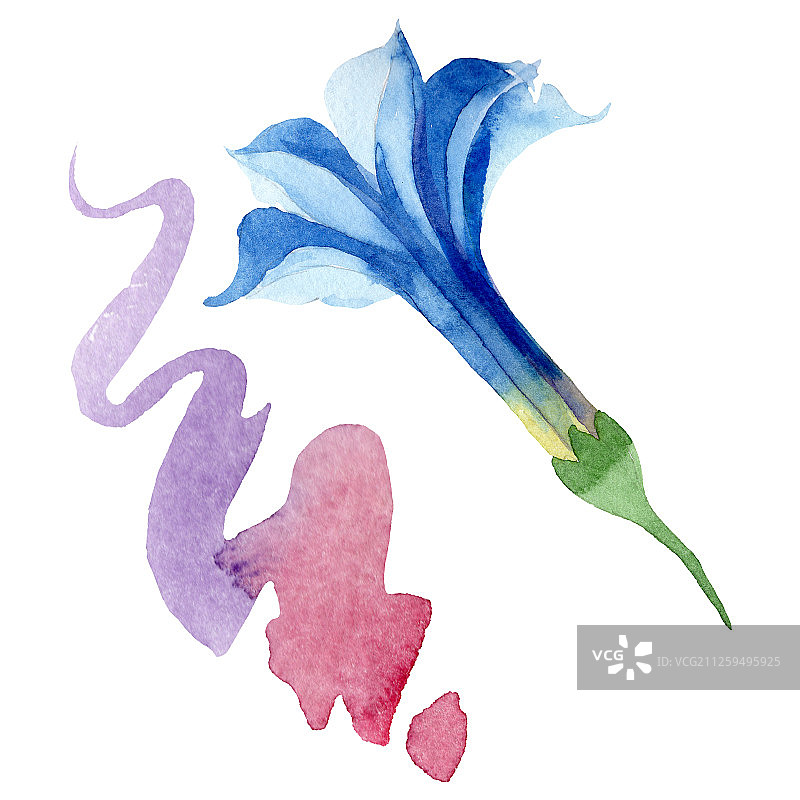 蓝色曼陀罗花卉植物花卉水彩背景套装曼陀罗花卉插图元素图片素材