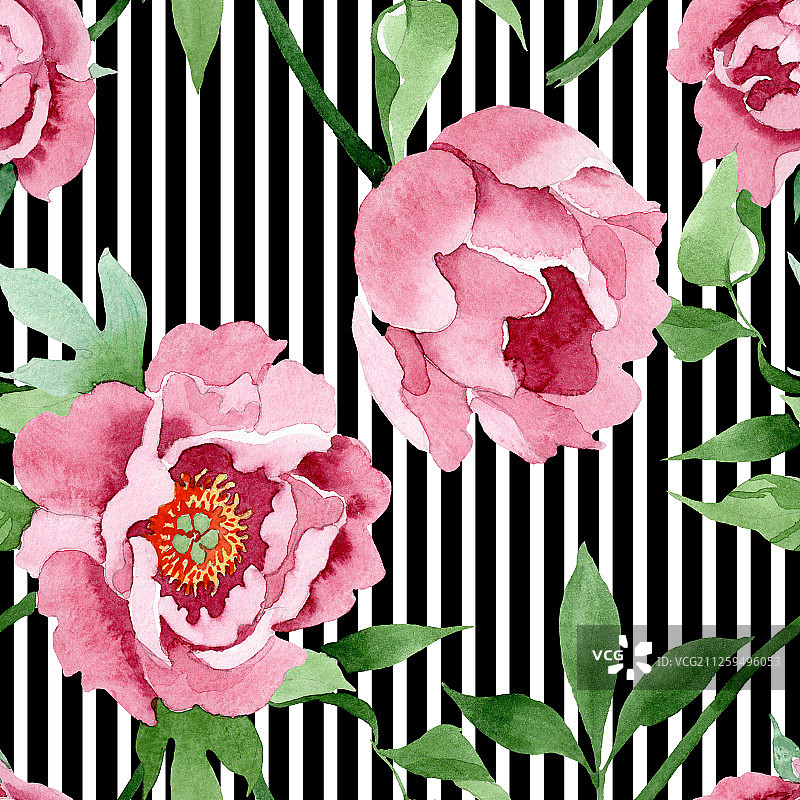 深红色牡丹花卉植物。水彩背景图案。无缝背景模式图片素材