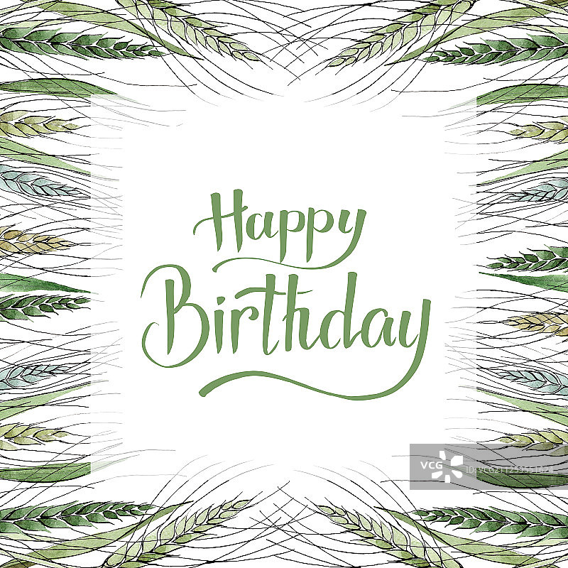 绿色麦穗和草叶水彩背景插画边框方块图片素材