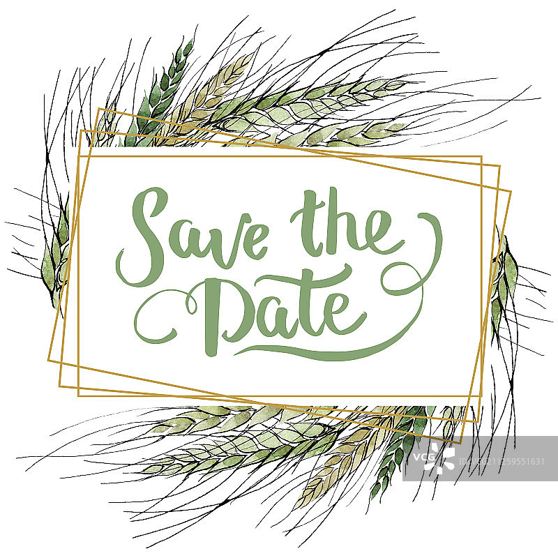 绿色麦穗和草叶水彩背景插画边框方块图片素材