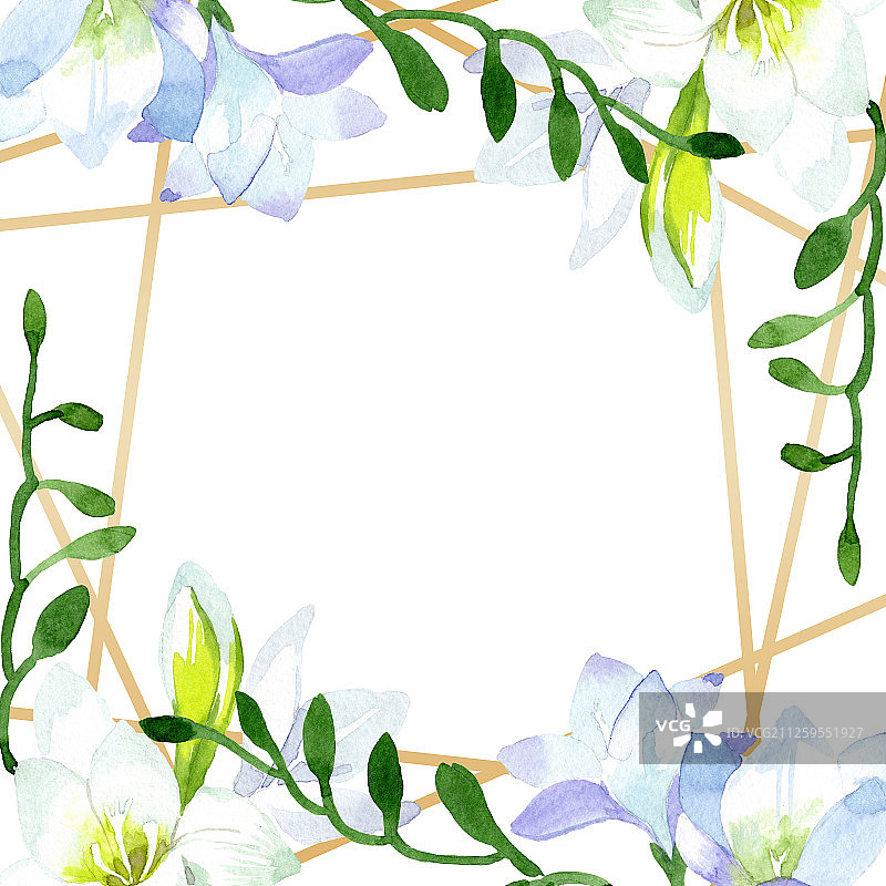 白色小苍兰水彩花卉边框图片素材