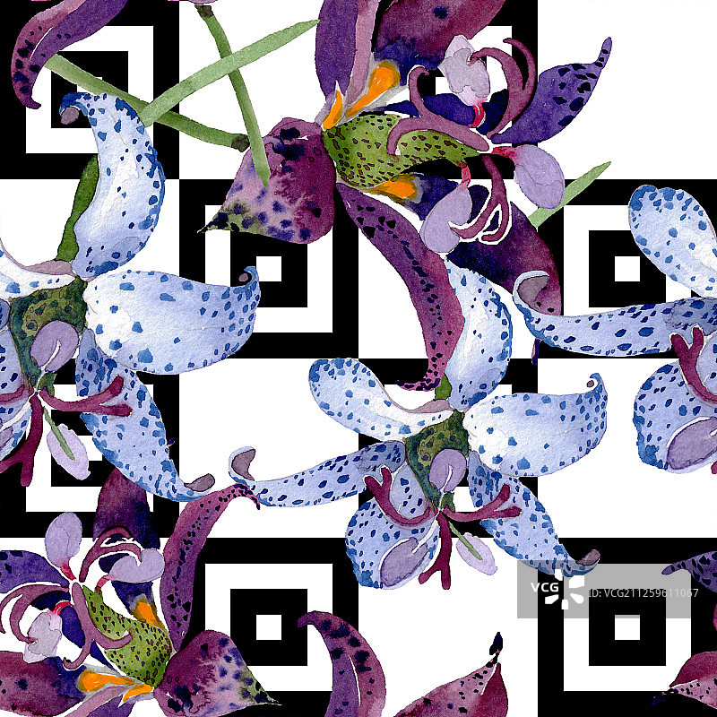 鲜花植物三轮车。水彩背景插图集。无缝背景图案。图片素材