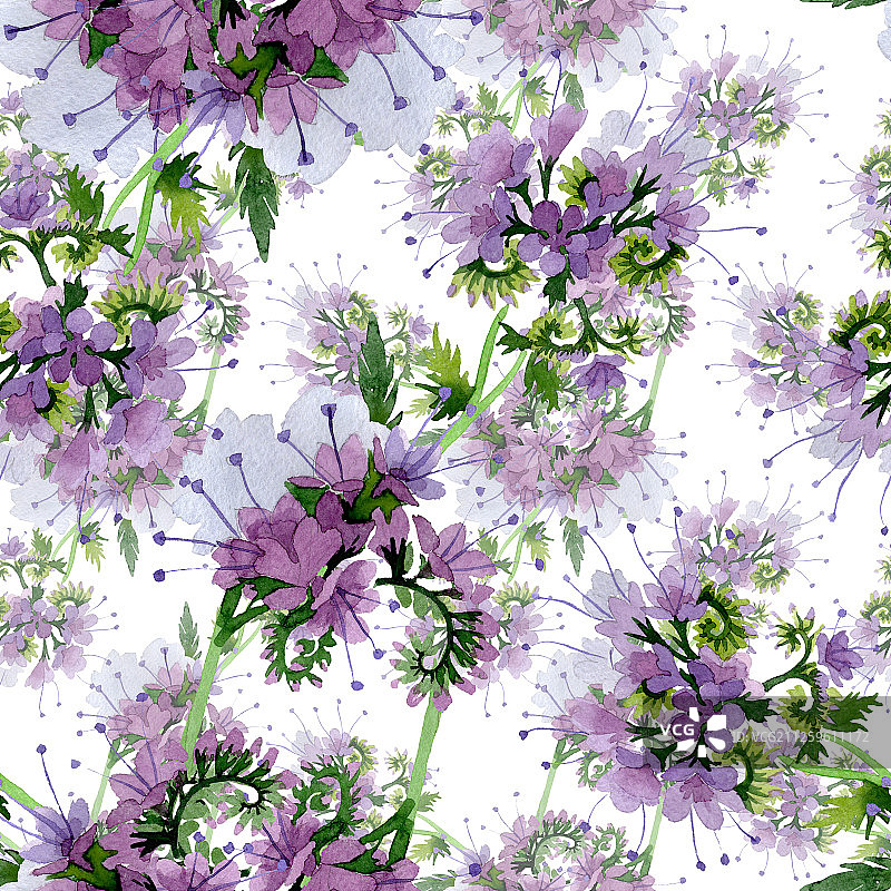 紫色蜂室花植物水彩背景无缝图案图片素材