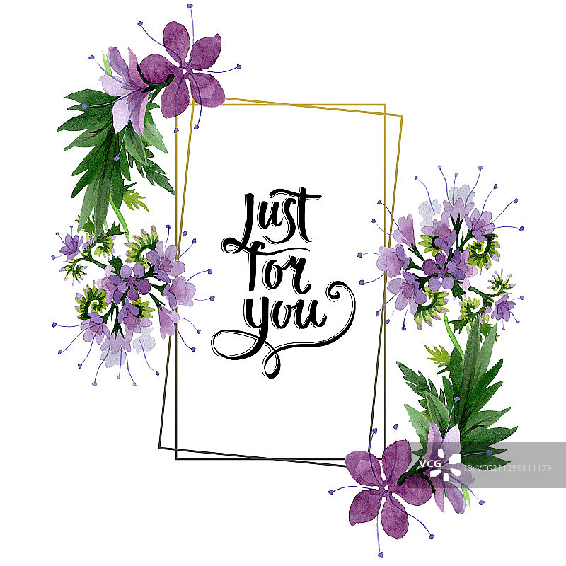 紫色田基麻植物花卉，水彩背景边框装饰方形图片素材