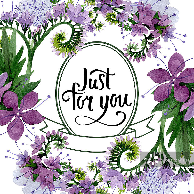 紫色田基麻植物花卉，水彩背景边框装饰方形图片素材