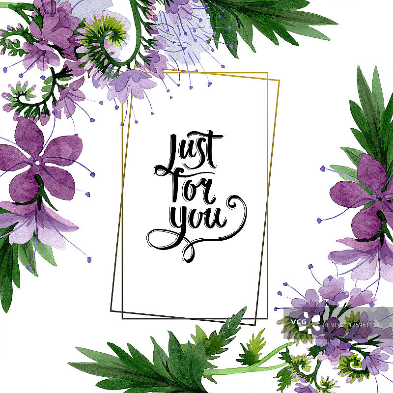紫色田基麻植物花卉，水彩背景边框装饰方形图片素材