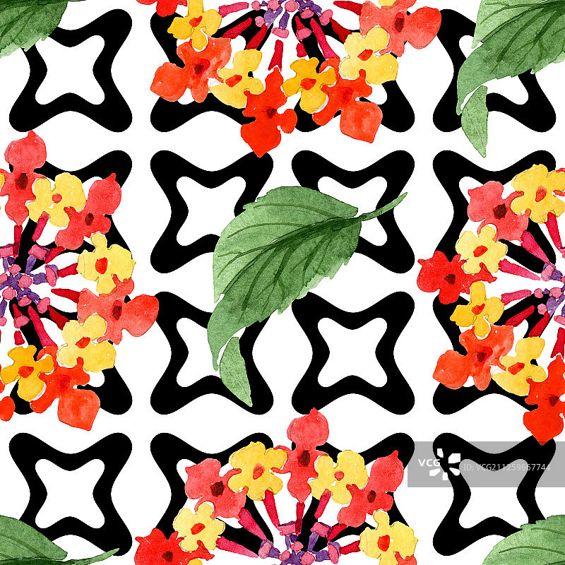 红色马缨丹花卉植物水彩背景插图套装无缝背景图案图片素材