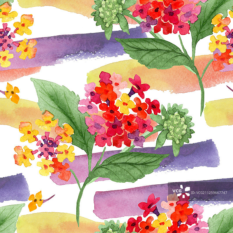 红色马缨丹花卉植物水彩背景插图套装无缝背景图案图片素材