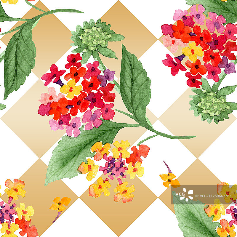 红色马缨丹花卉植物水彩背景插图套装无缝背景图案图片素材