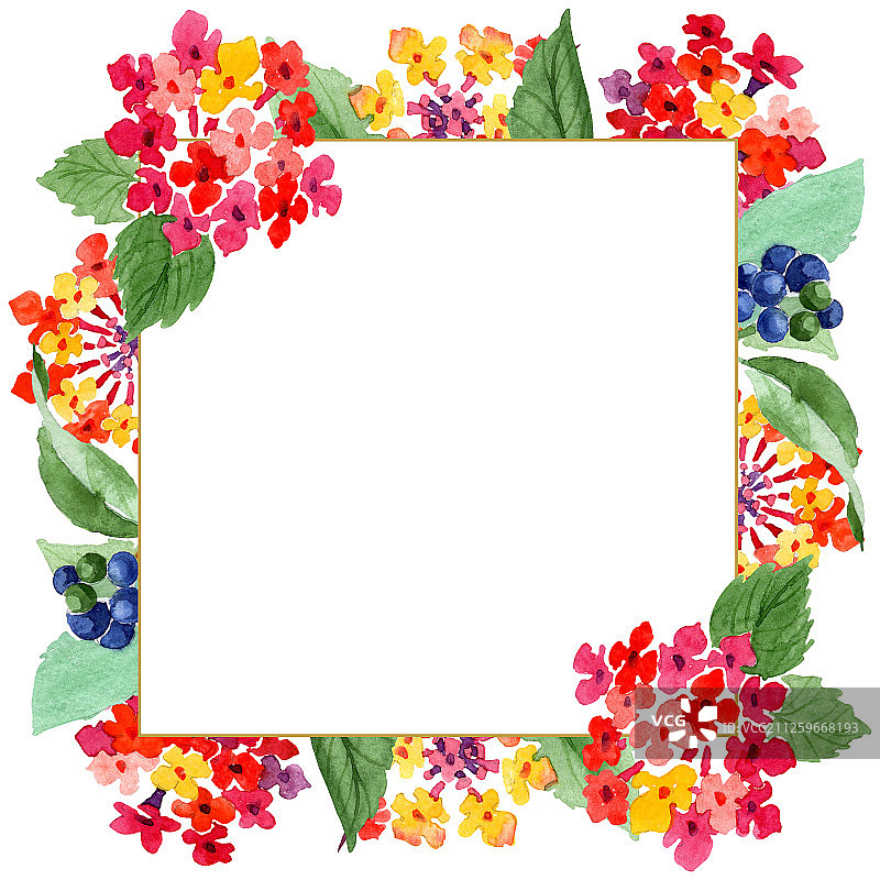 红色马缨丹花卉植物水彩背景边框装饰图片素材