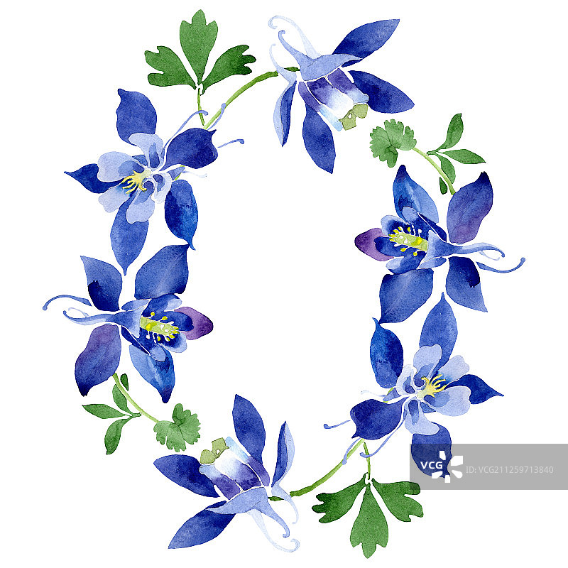 蓝色耧斗菜植物花卉水彩背景插图，边框装饰方块图片素材