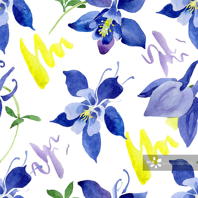 蓝色耧斗菜植物花卉水彩背景图案图片素材