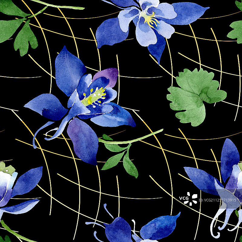 蓝色耧斗菜植物花卉水彩背景图案图片素材