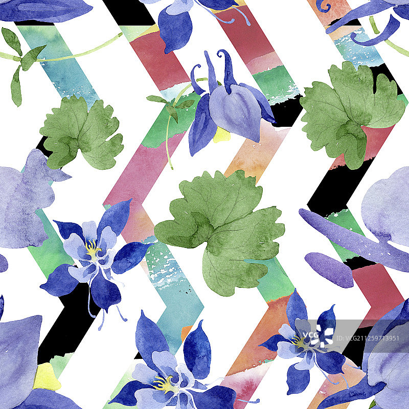 蓝色耧斗菜植物花卉水彩背景图案图片素材