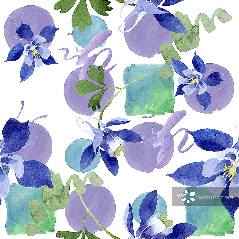蓝色耧斗菜植物花卉水彩背景图案图片素材