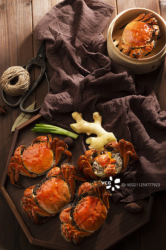 大闸蟹图片素材