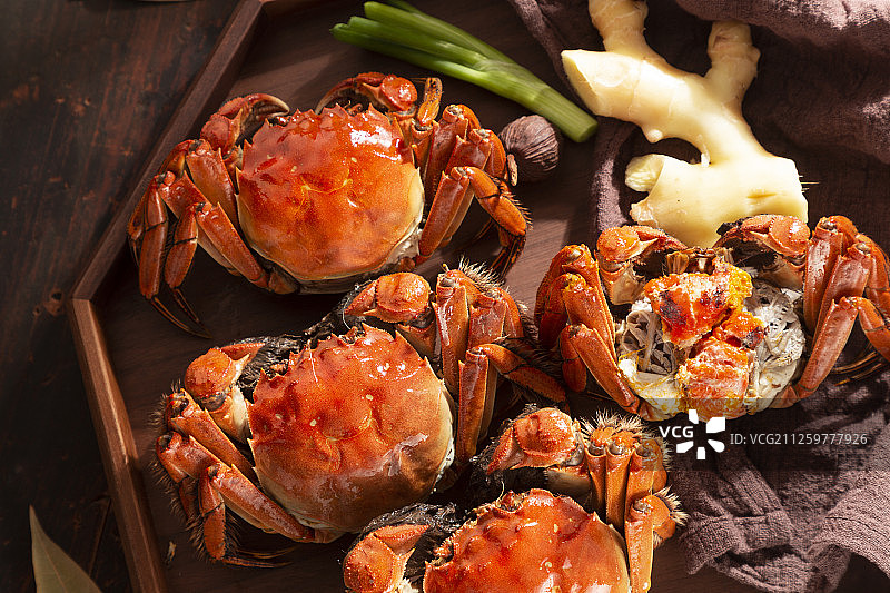 大闸蟹图片素材