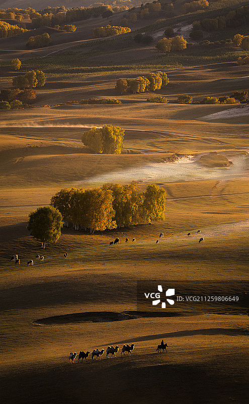 秋天的乌兰布统图片素材