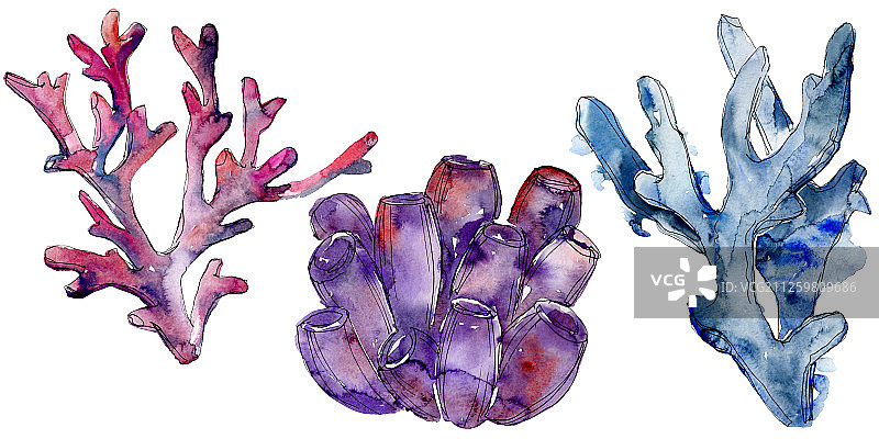 水彩珊瑚礁图片素材