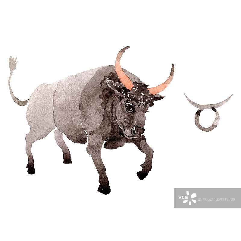 水彩金牛座占星符号图片素材