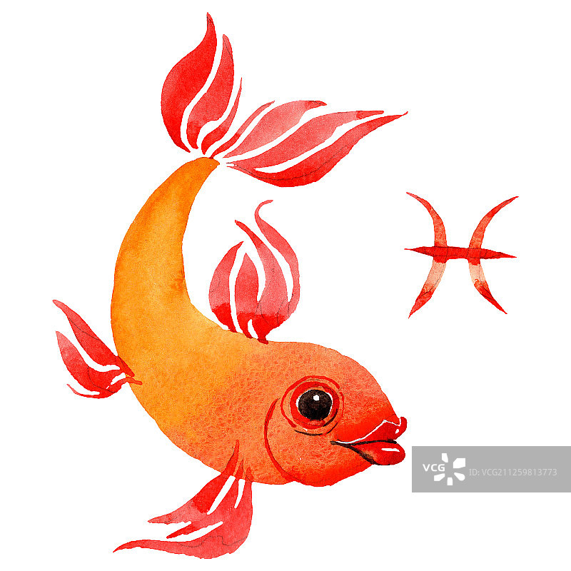 双鱼座星座占星符号。水彩背景插图集。独立星座插图元素图片素材
