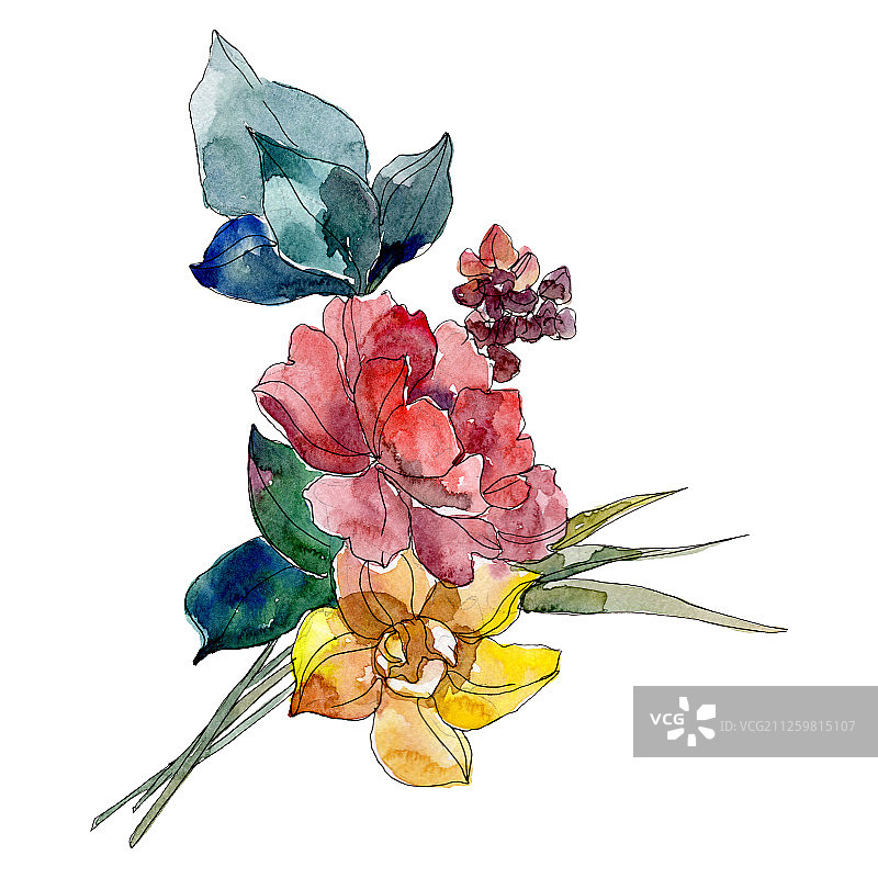 黄色水仙和红色牡丹植物花卉水彩背景，独立花束插图元素图片素材