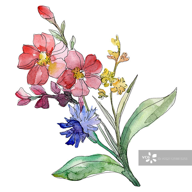 红蓝花卉植物水彩背景插画，花束元素图片素材