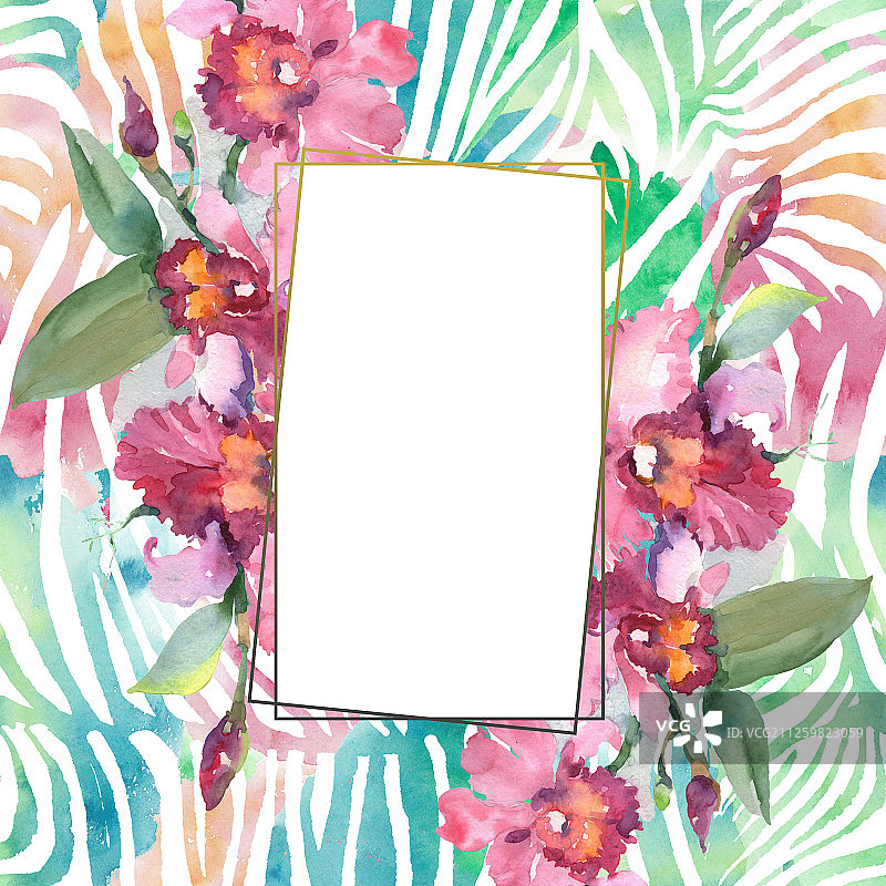 粉色兰花花束，水彩背景，边框装饰方块图片素材
