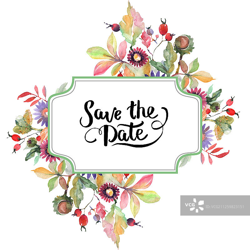 翠菊和野花花束水彩插画，边框装饰方块图片素材
