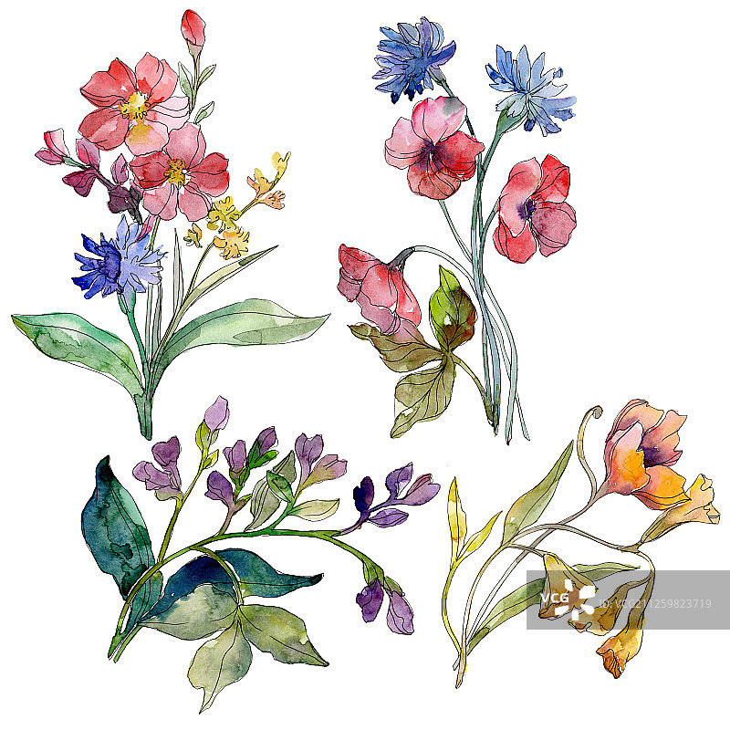 野花花束水彩植物花卉插画元素图片素材