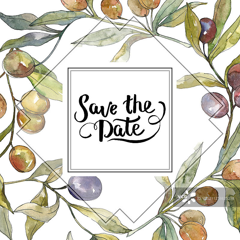 水彩橄榄枝黑绿果实方形边框插画图片素材